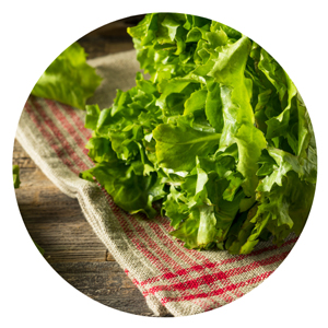 Escarole Soup Recipe